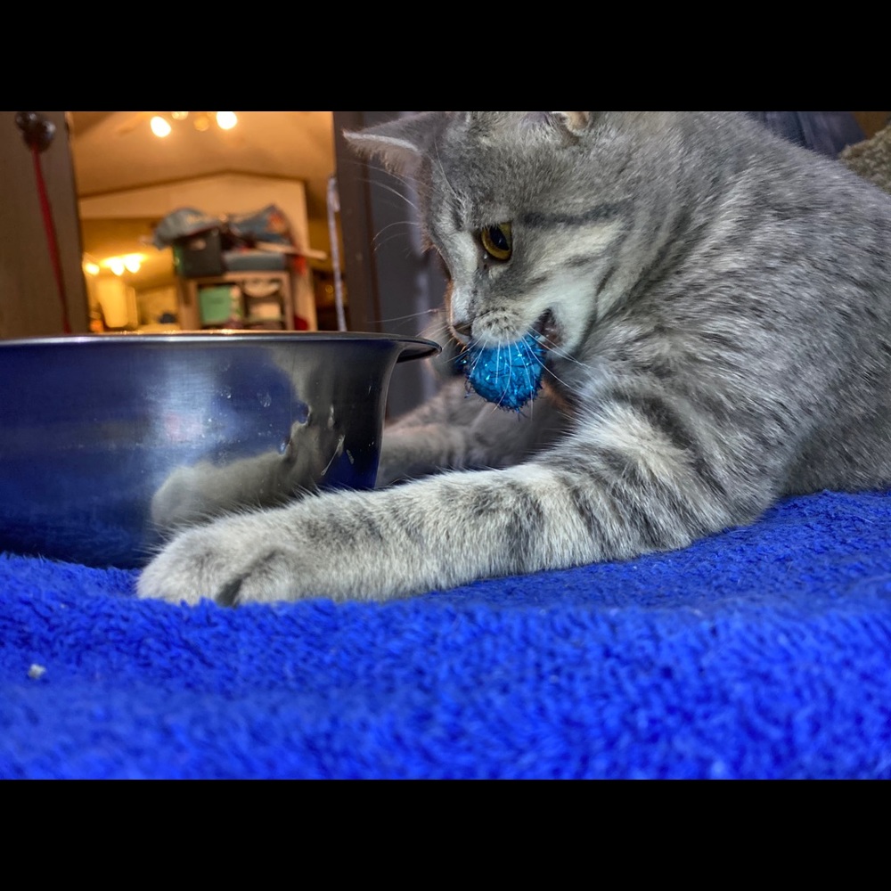 Test - Picture 4 of 4